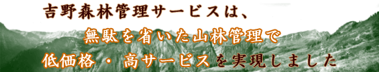 teikakau.gif